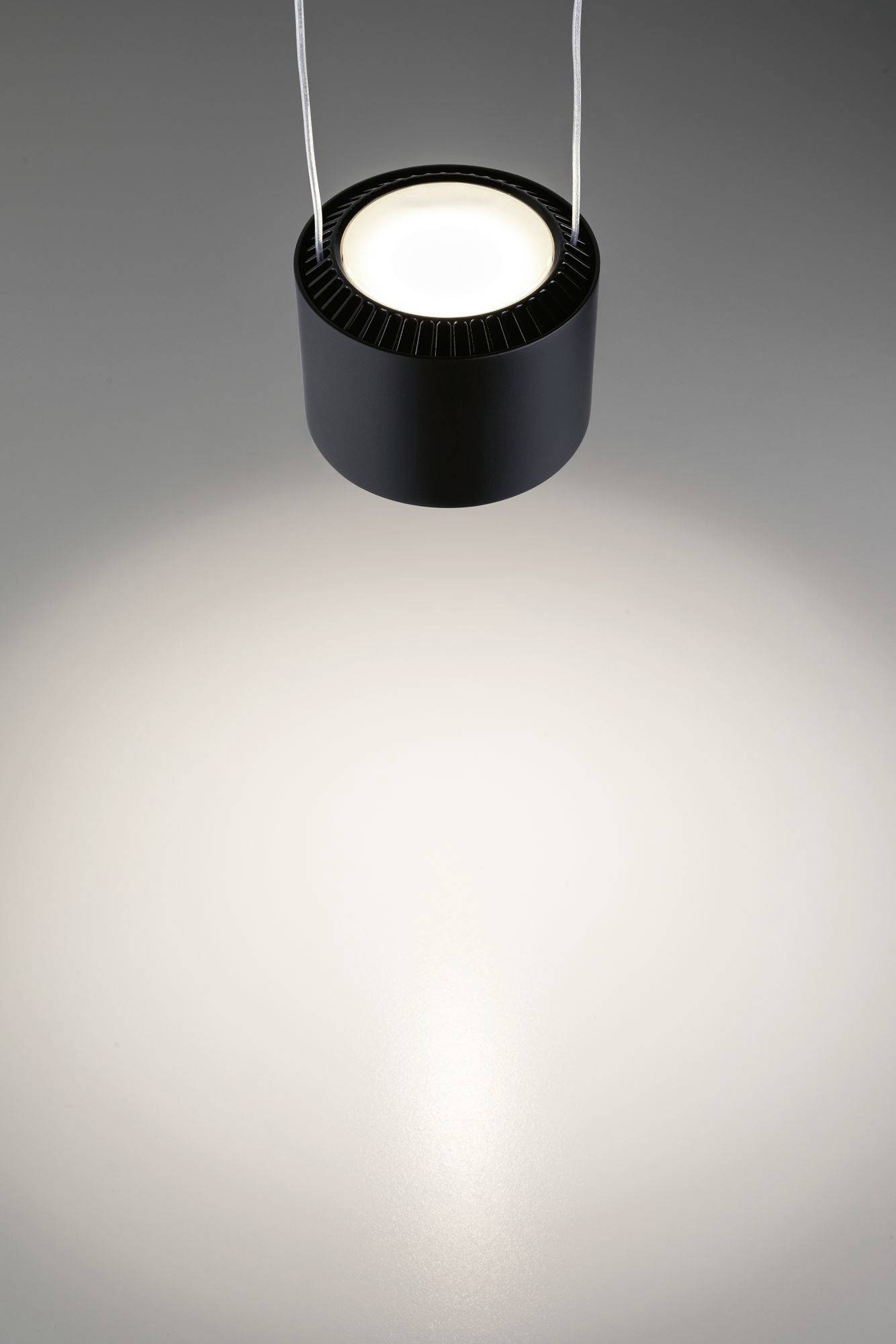 Paulmann URail Pendel Aldan LED-Pendelleuchte URail 13W Schwarz (matt)