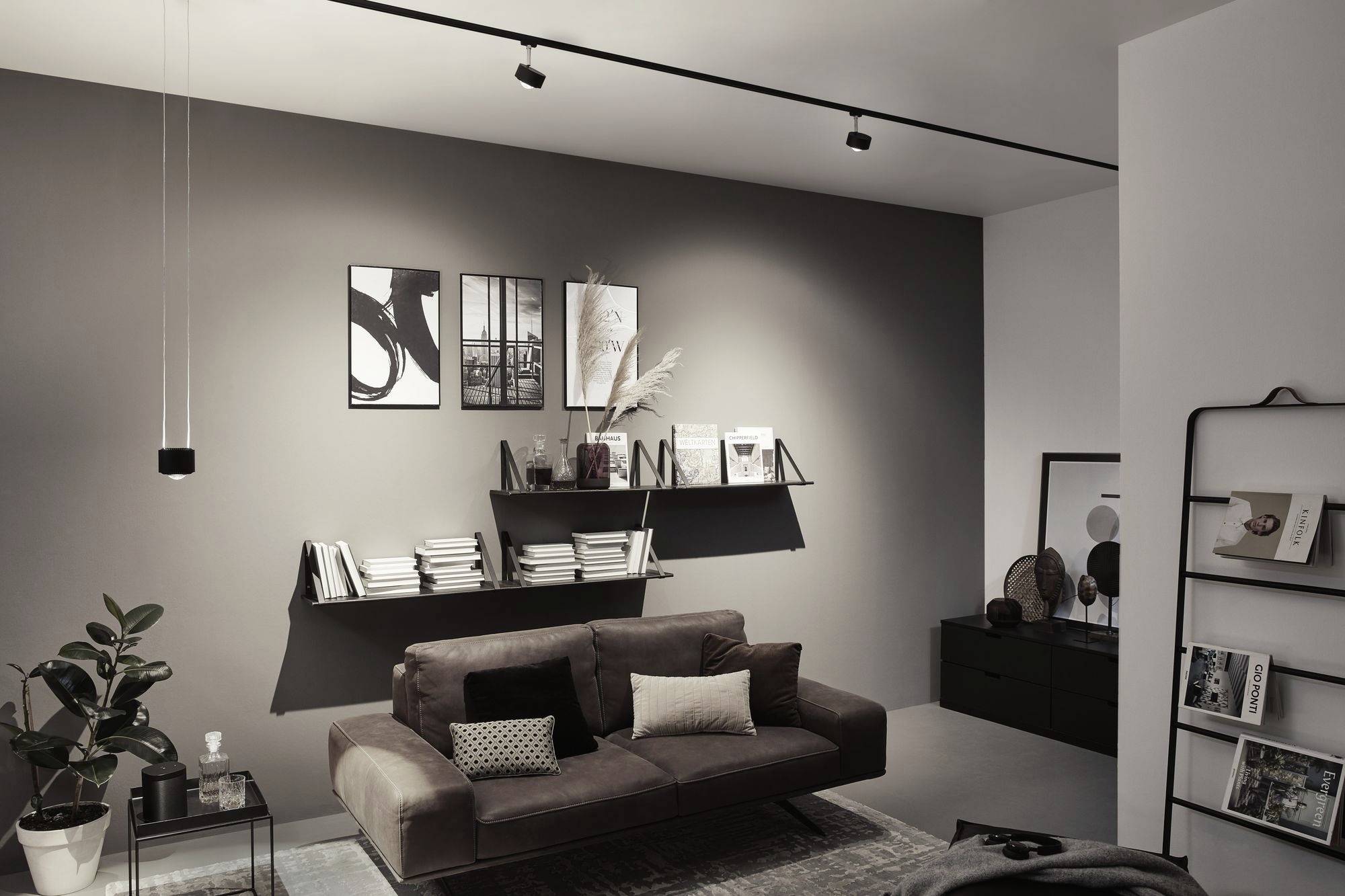 Paulmann URail Pendel Aldan LED-Pendelleuchte URail 13W Schwarz (matt)