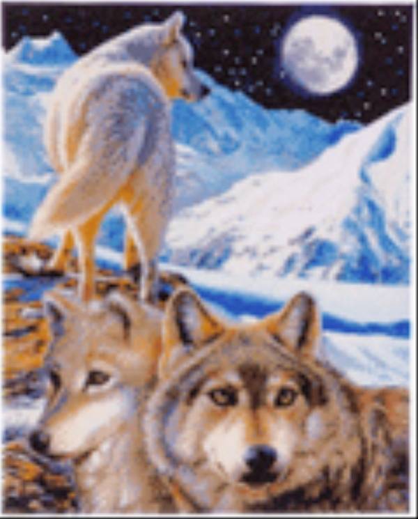 Vedes Crystal Art Leinwand Der Wächter 40x50cm CAK-CH2