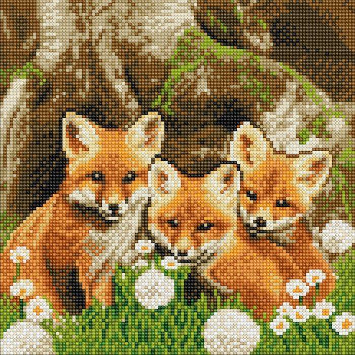 Vedes Crystal Art Fuchswelpen 30x30cm CAK-A116M