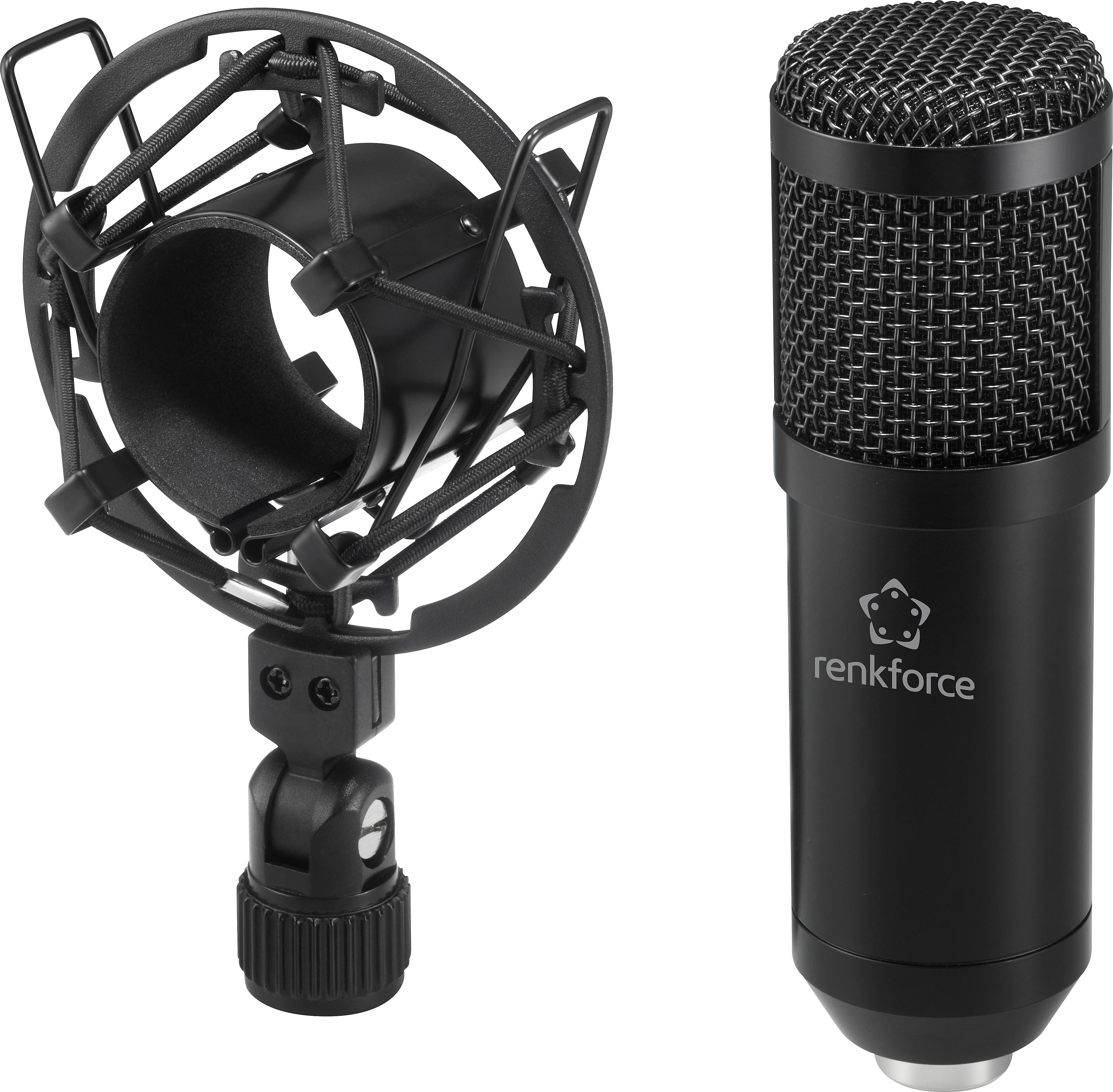 Ein schwarzes Mikrofon mit Halterung, geeignet für Aufnahmen und Podcasting, steht rechts, die Spinne links.