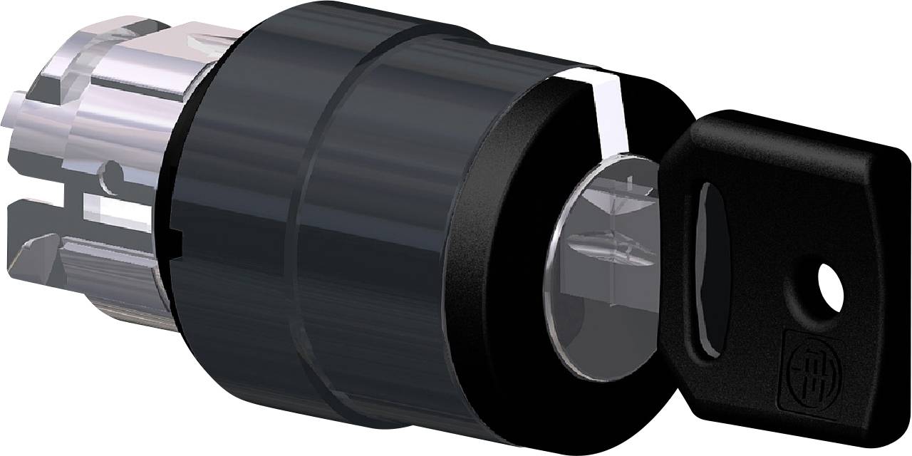 Schwarzes Zylinderschloss mit zwei Schlüsseln, oben im Bild. Es wird zur Sicherung von Türen oder Containern verwendet.