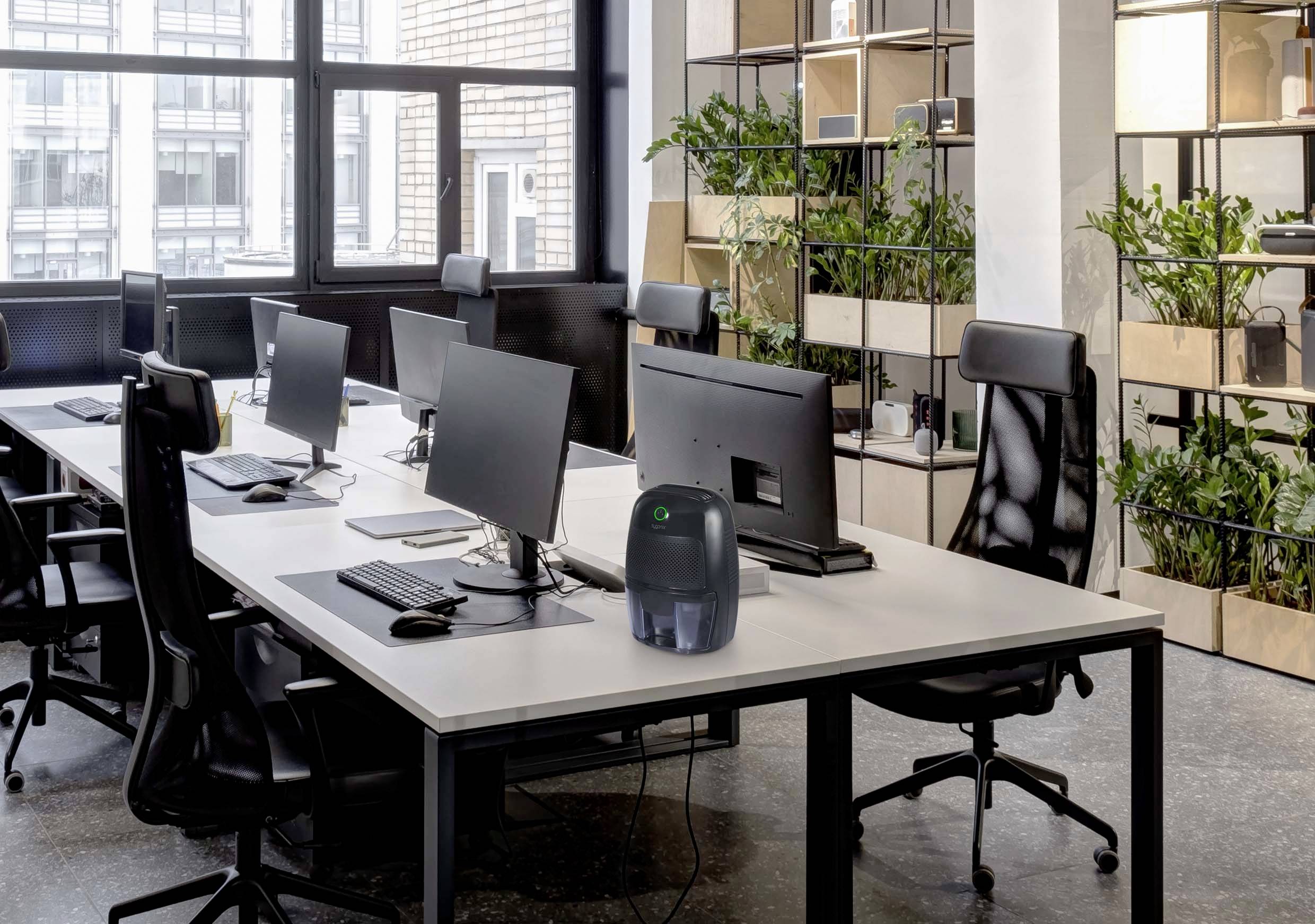 Moderne Büroumgebung mit sechs Schreibtischen, Computern und ergonomischen Stühlen. Pflanzendekor trennt den Raum.
