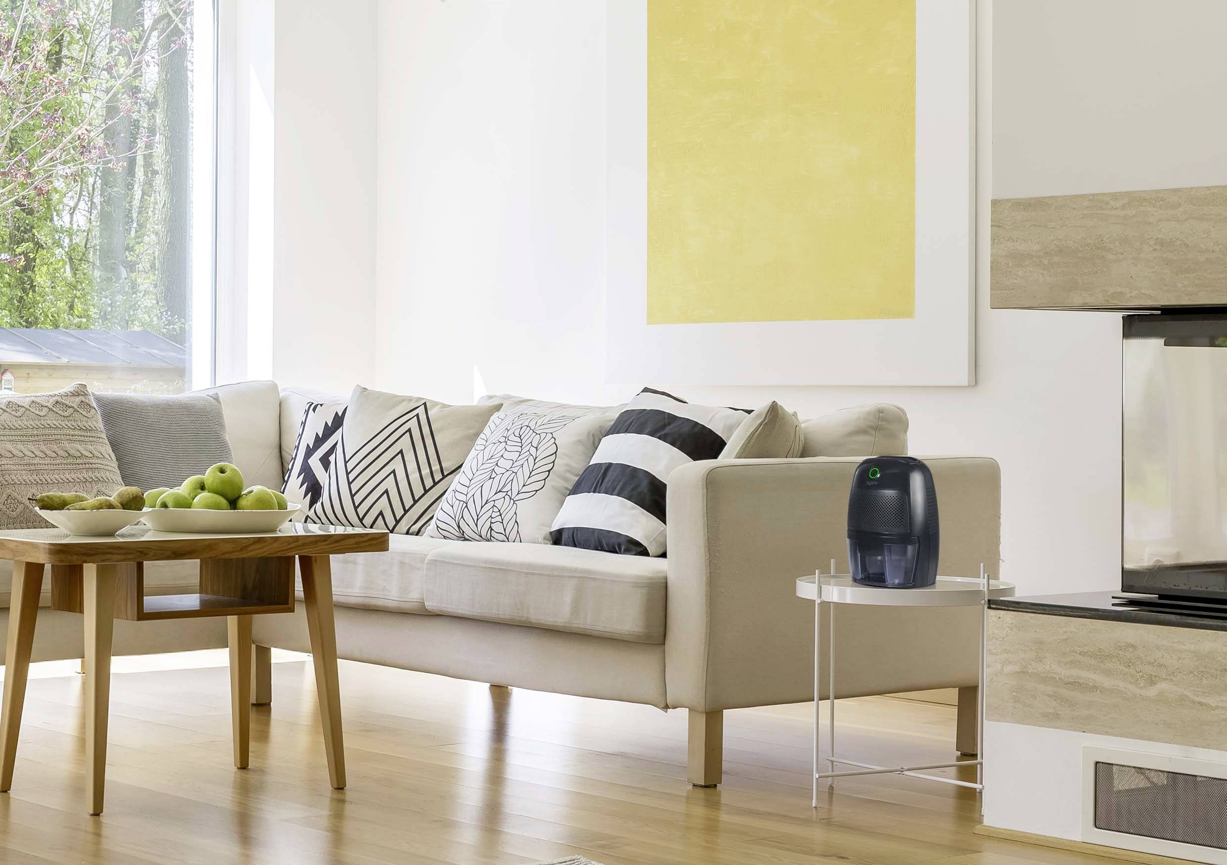 Wohnzimmer mit beigem Sofa, dekorativen Kissen, Holztisch mit grünem Obst, Luftbefeuchter auf kleinem Tisch, gelbes Wandbild.