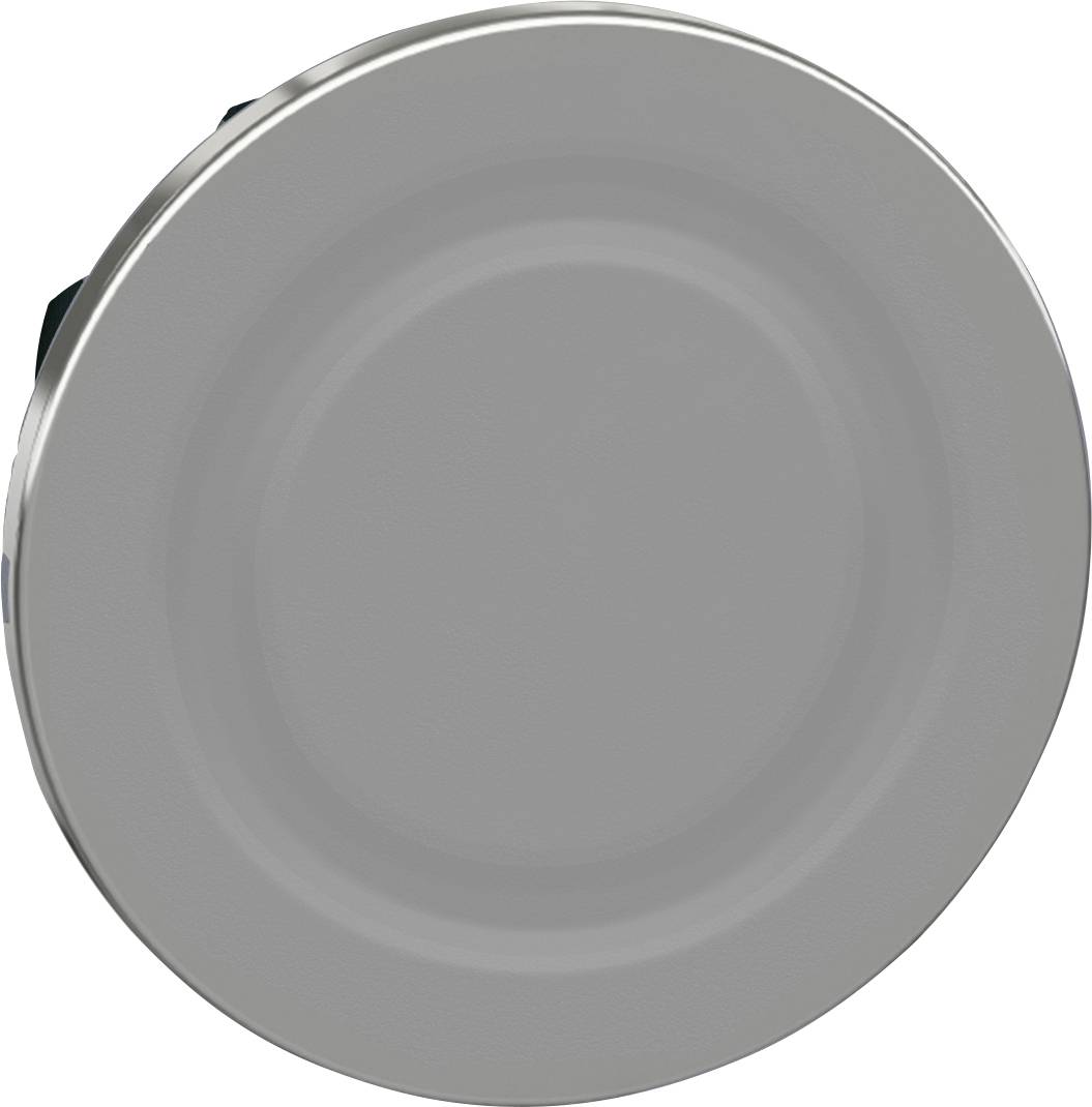 Ein runder, flacher grauer Knopf ohne sichtbare Beschriftung oder Markierung.