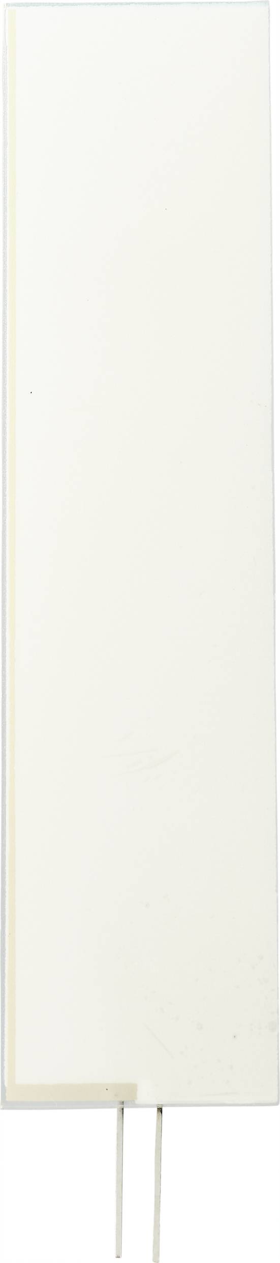 TRU COMPONENTS Leuchtfolie Grün (L x B x H) 138 x 34 x 0.5mm