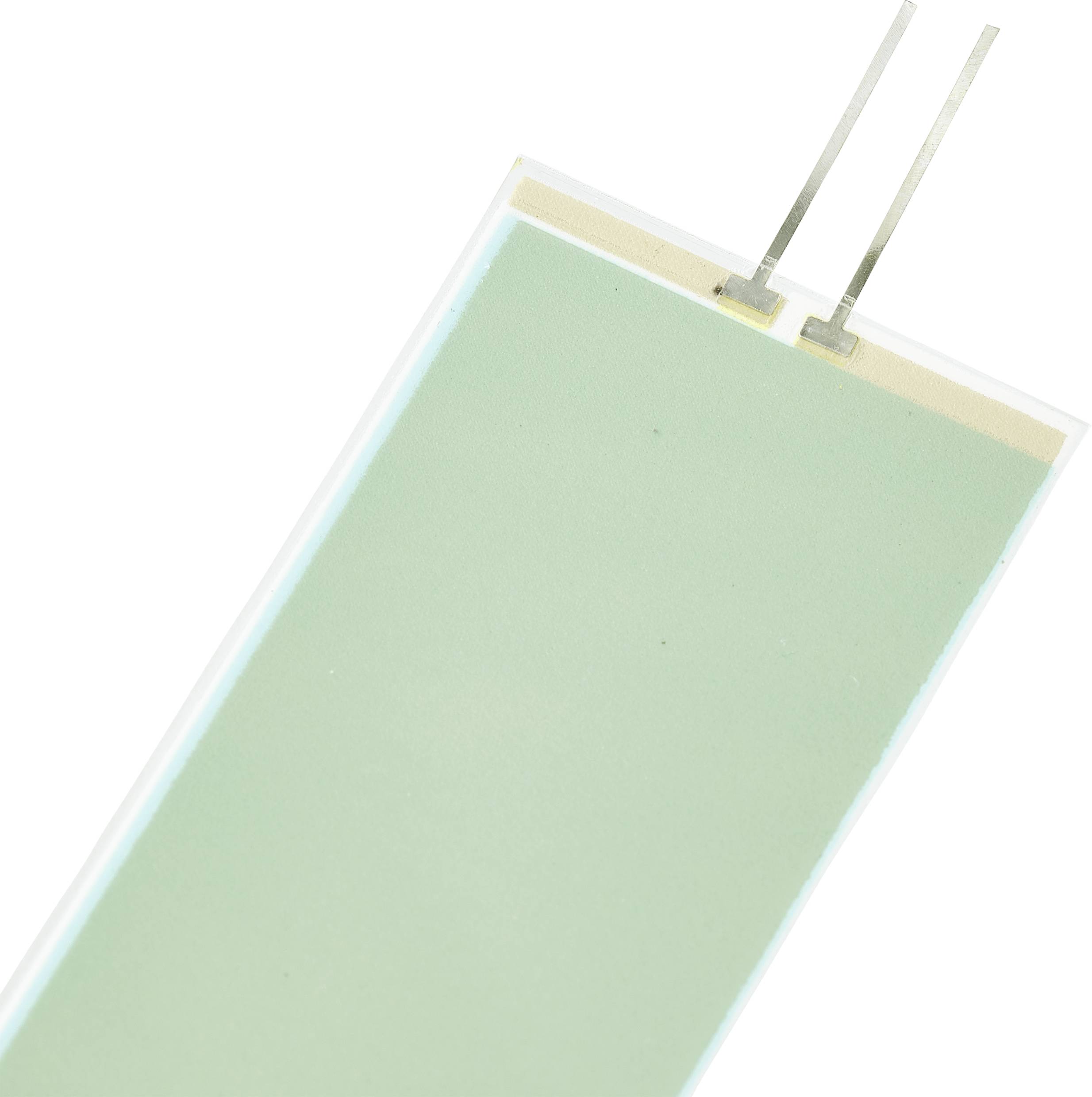 TRU COMPONENTS Leuchtfolie Grün (L x B x H) 138 x 34 x 0.5mm