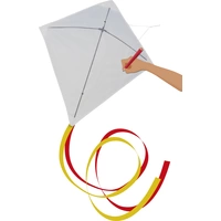 Günther Flugspiele Einleiner Drachen Paint your kite Spannweite (Details) 690mm Günther Flugspiele Einleiner Drachen Paint your kite Spannweite (Details) 690mm