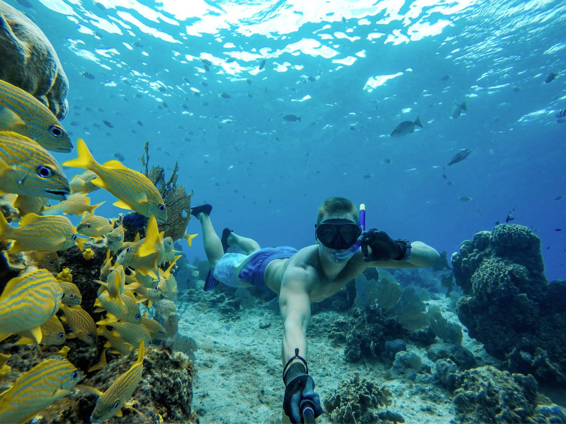 Lamax W9.1 Action Cam 4K, inkl. Stativ, Wasserfest, Zeitraffer, Zeitlupe, Stoßfest, WLAN, Dual-Display