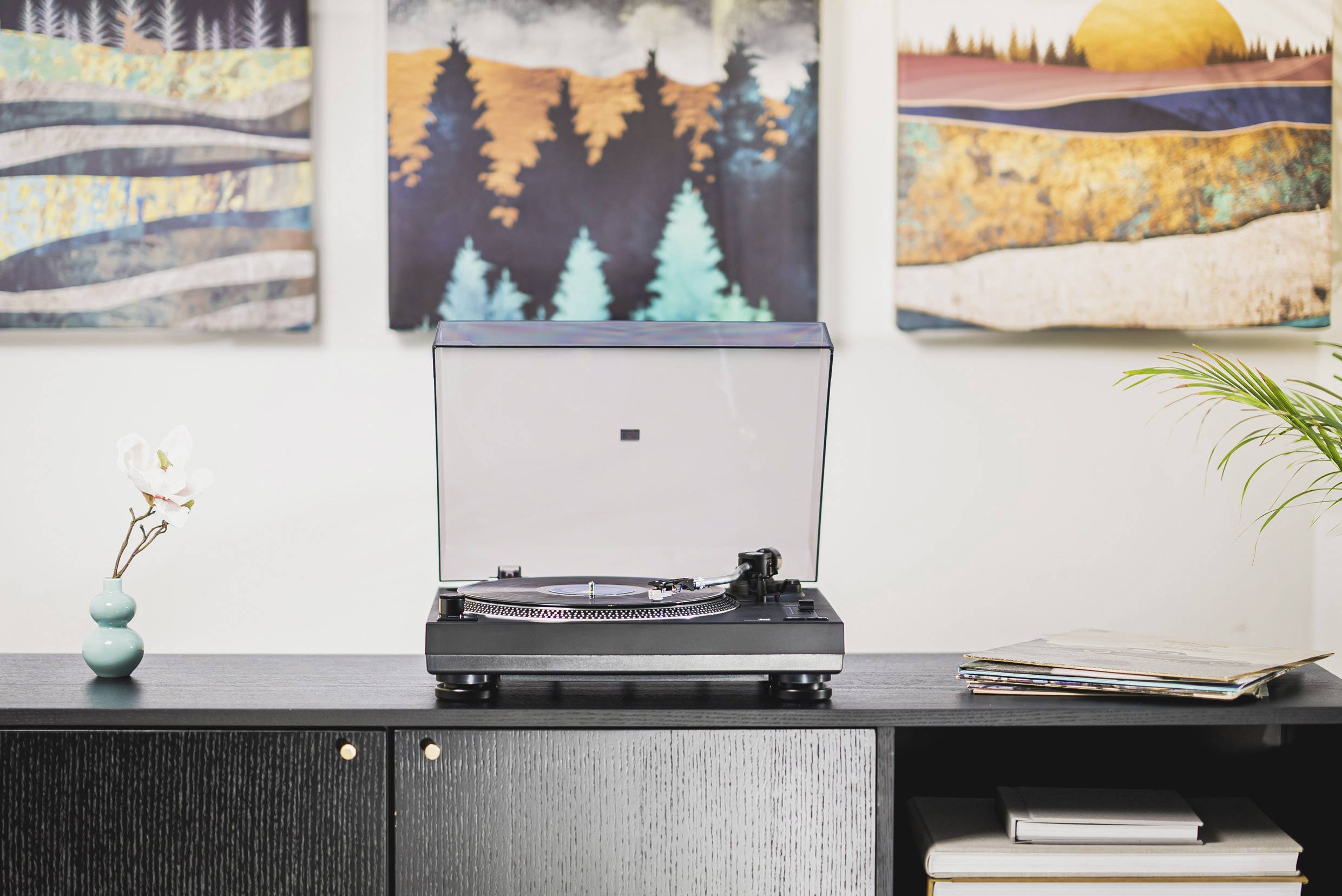 Dual DT250-2 USB-Plattenspieler Riemenantrieb Schwarz