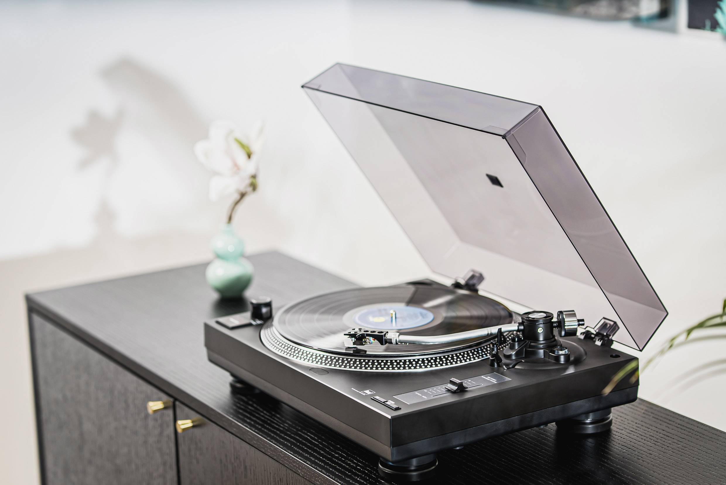 Dual DT250-2 USB-Plattenspieler Riemenantrieb Schwarz