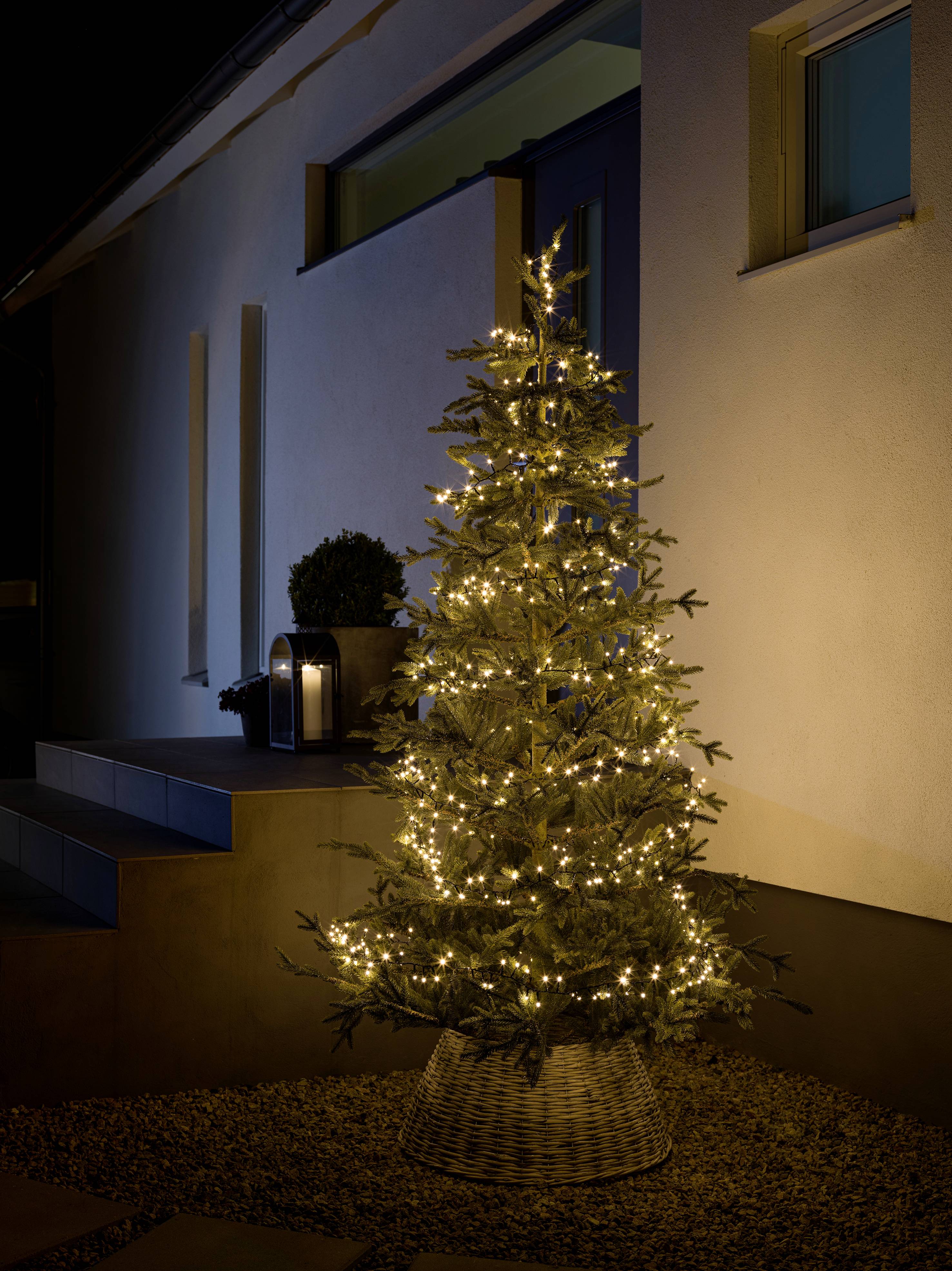 Ein geschmückter Weihnachtsbaum mit Lichtern steht draußen bei Nacht neben einer Haustreppe, bei schwacher Beleuchtung.