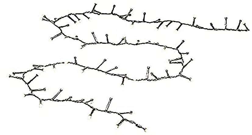 Konstsmide 3868-130 Lichterketten-System Außen EEK: F (A - G) netzbetrieben Anzahl Leuchtmittel 600 LED Warmweiß Beleuchtet