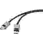 SpeaKa Professional DisplayPort Anschlusskabel DisplayPort Stecker, DisplayPort Stecker 2.00 m Schw