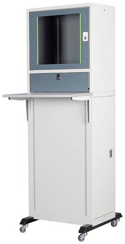 Digitus DN-39007 PC-Schrank (B x H x T) 600 x 1800 x 600mm Lichtgrau (RAL 7035), Blau-Grau