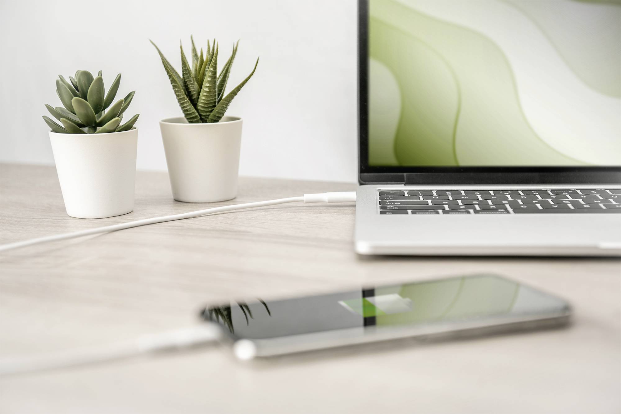 Ein Laptop mit grünlichem Bildschirmhintergrund steht auf einem Schreibtisch. Daneben zwei Sukkulenten in Töpfen und ein ladendes Smartphone.