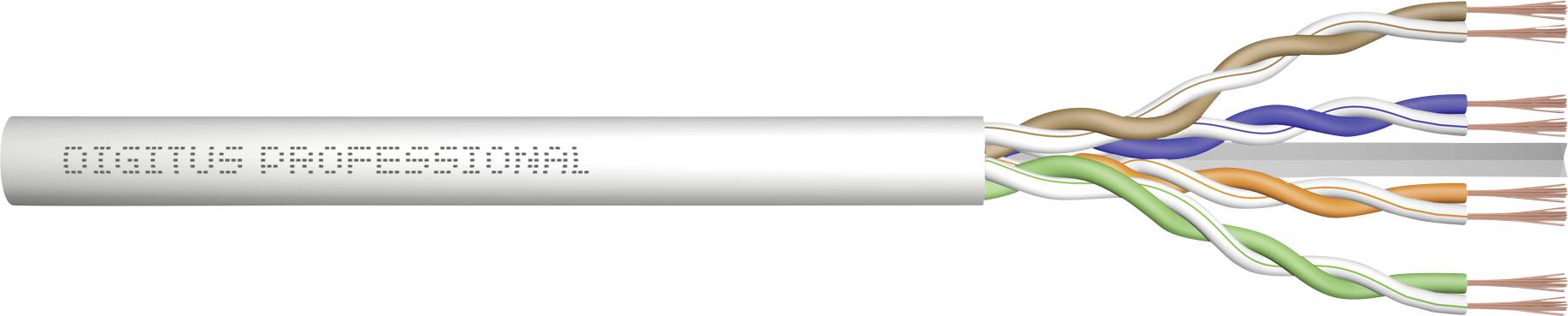 Abbildung eines offenen Ethernet-Kabels mit der Aufschrift 'DIGITUS PROFESSIONAL', das paarig verdrillte Drähte zeigt.
