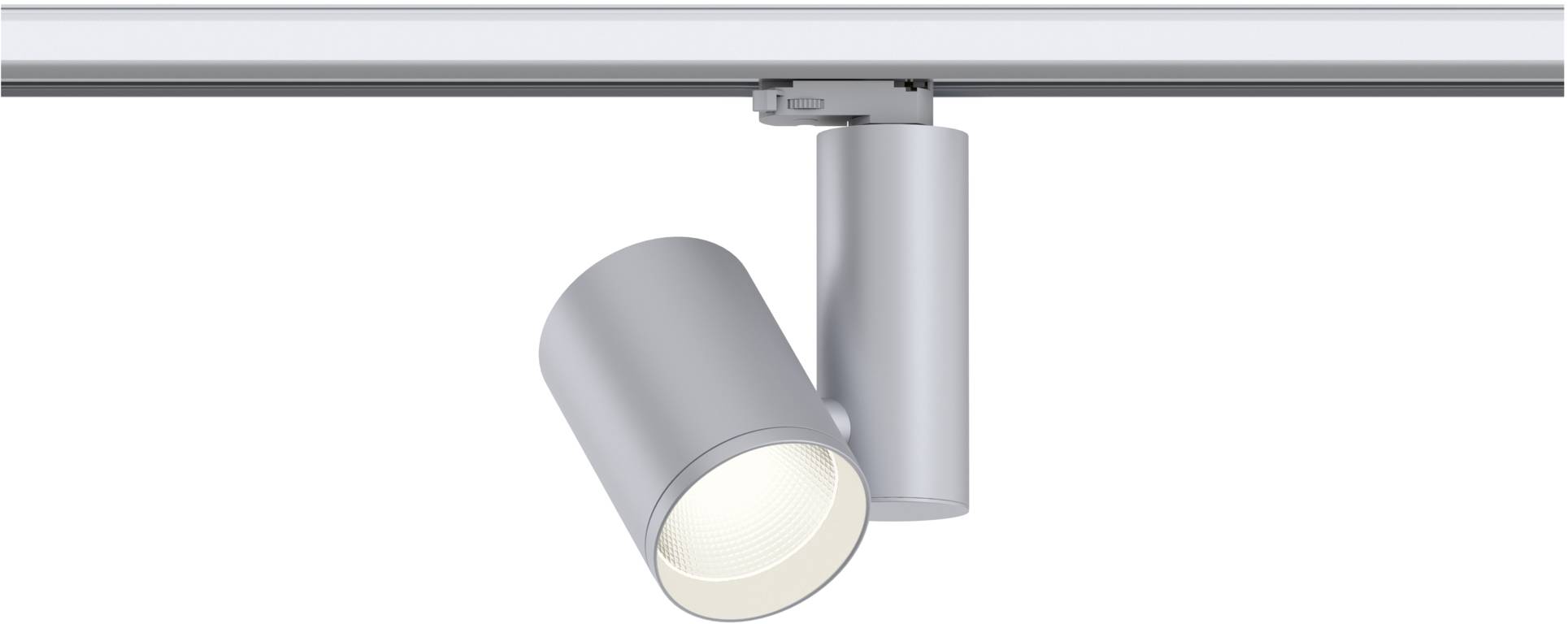 Paulmann ProRail3 Zeuz 33W 39° 3000K S triac Systemleuchte (Basis) ProRail3 Silber