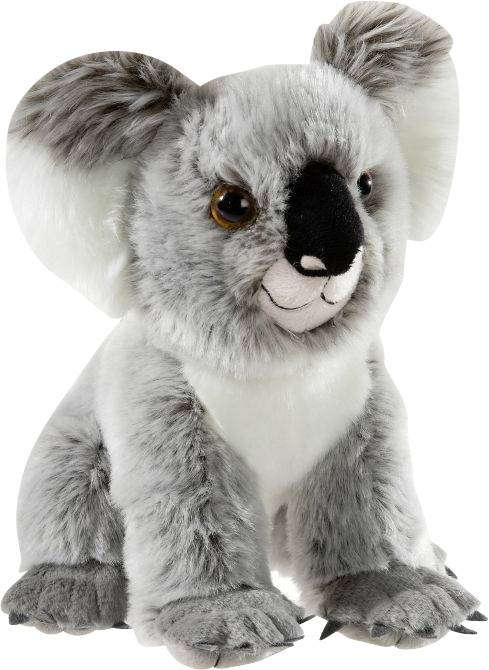 ENDANGERED Koala Bär, ca. 28cm