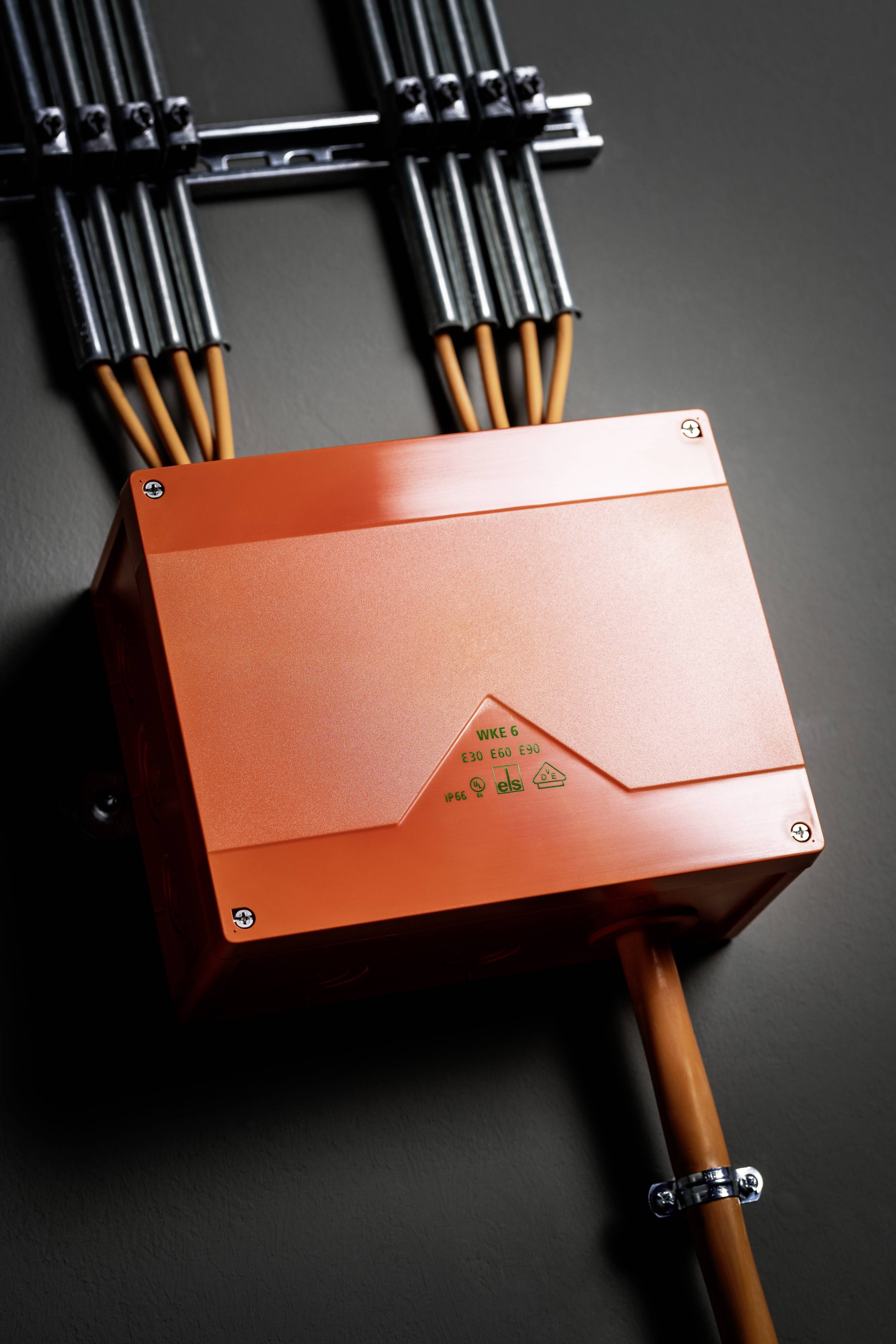 Eine orangefarbene elektrische Anschlussdose mit mehreren Kabeln, die oben verbunden sind. Aufschrift: 'INDEX 54 EN 60670-1'.