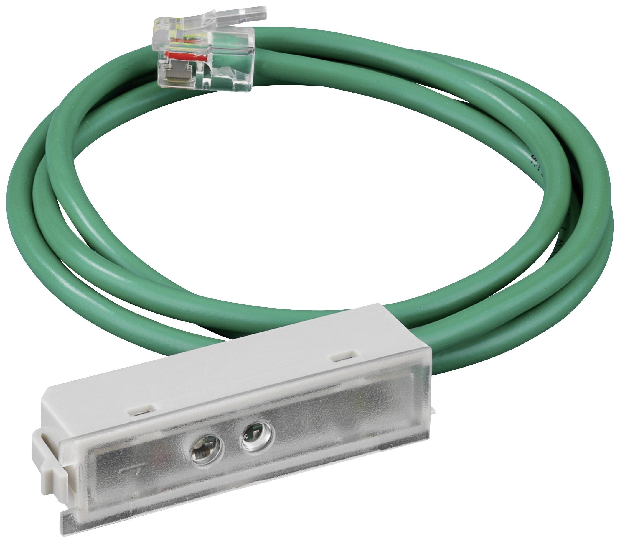 Grünes Netzwerkkabel mit RJ45-Stecker und weißem Gehäuse, das möglicherweise ein Adapter oder Schaltgerät enthält.