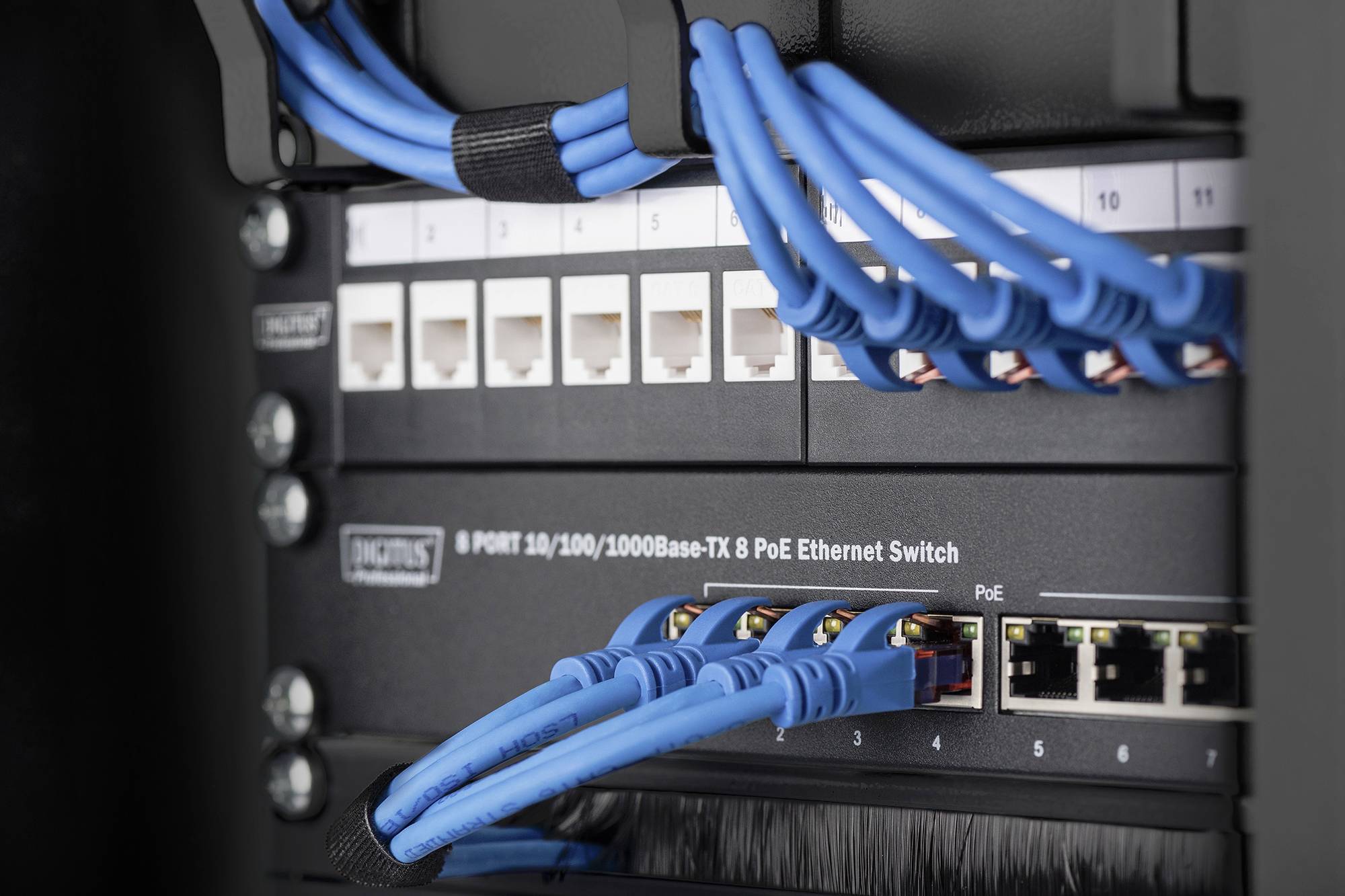 Netzwerkschrank mit einem Ethernet-Switch, der über mehrere blaue Kabel verbunden ist. Es zeigt einen strukturierten Kabelaufbau.