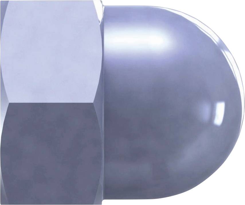 Reisser 31786 Hutmutter M10 50St.