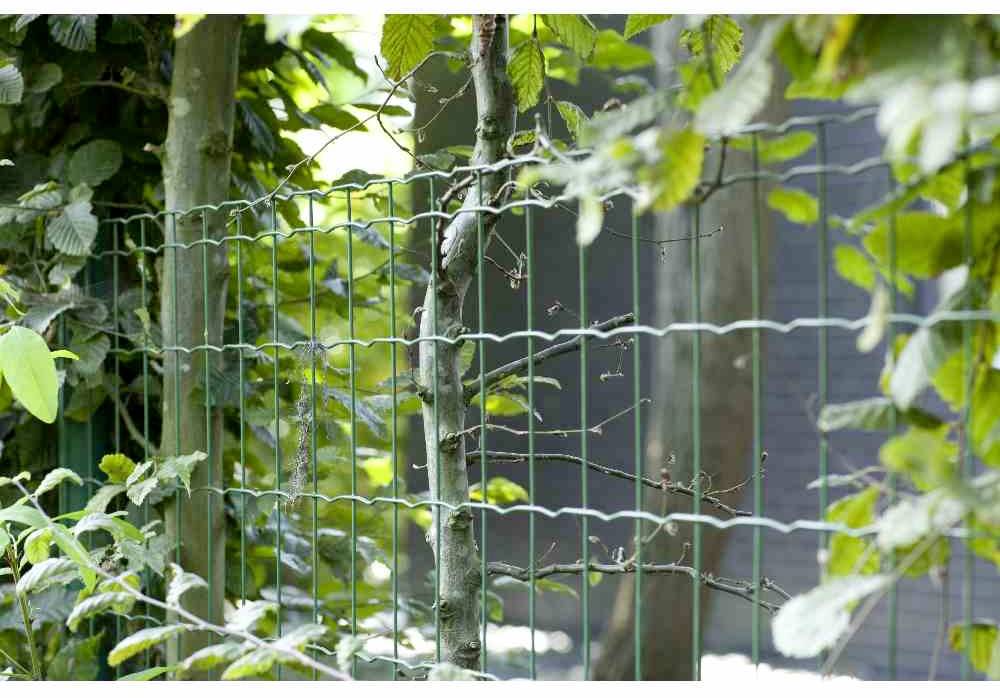 Betafence 7061259 Gitterzaun 25m