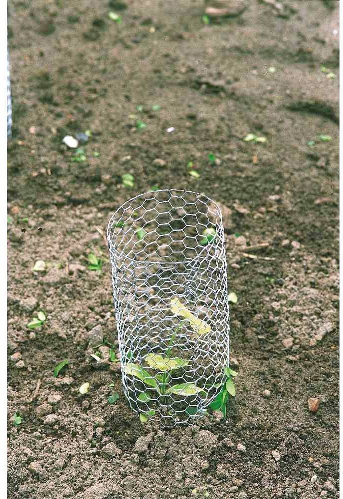 Betafence 7036405 Sechseckgeflecht 10 m