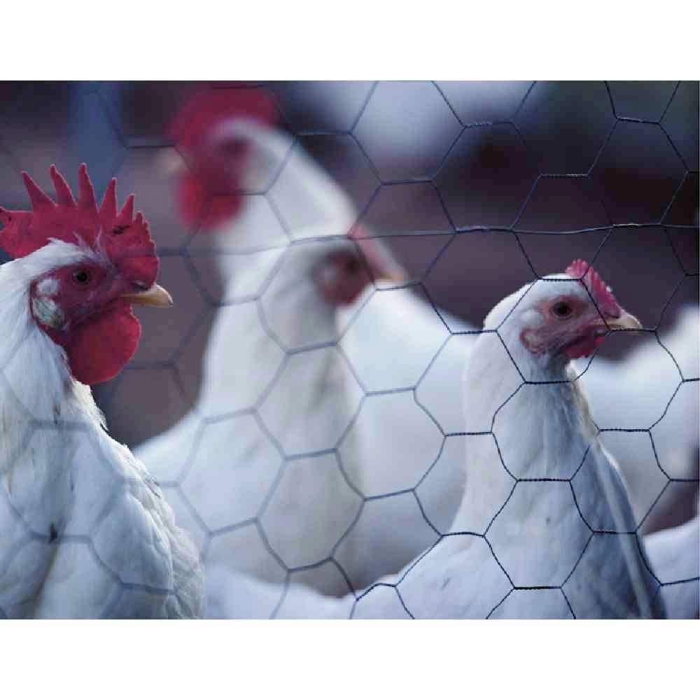 Betafence 7062355 Sechseckgeflecht 25 m