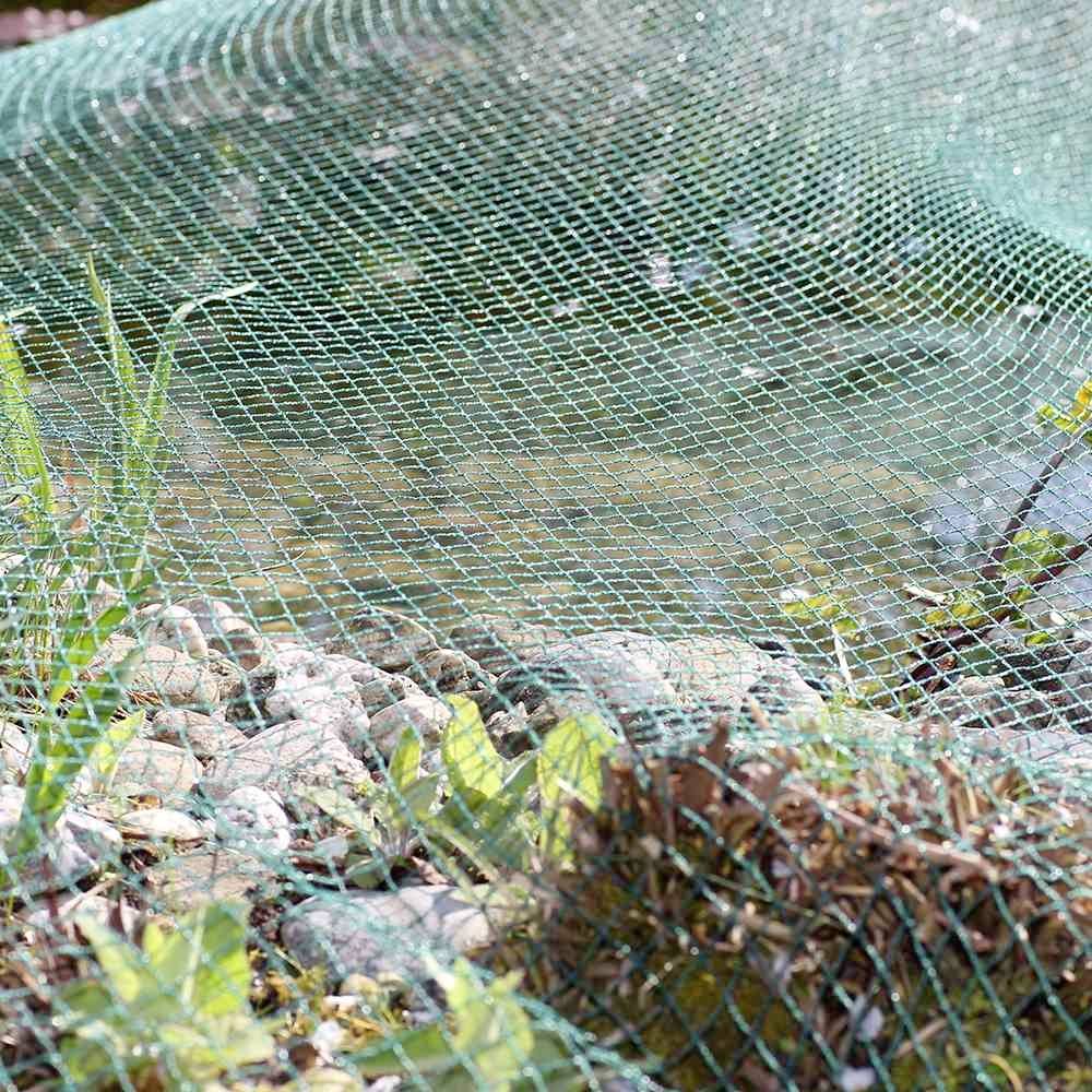 Siena Garden 22250-2-36 Teichnetz