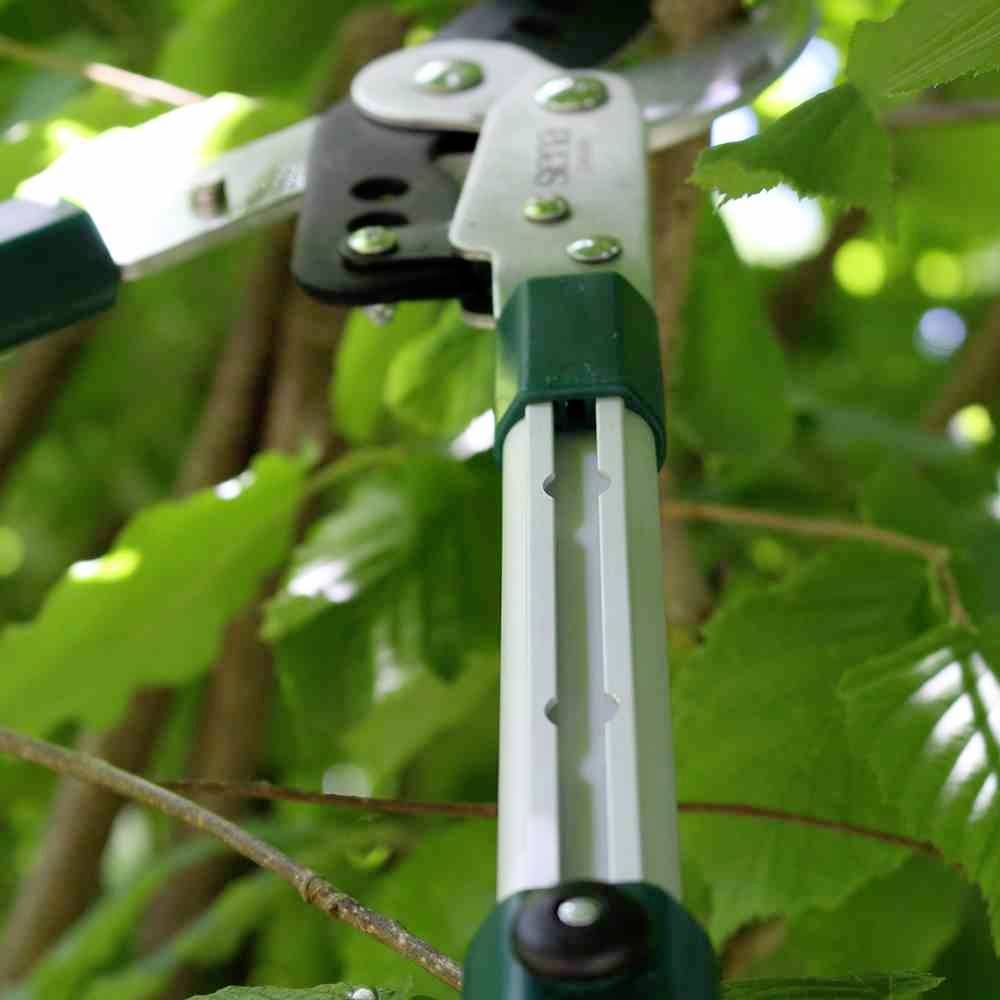 Astschere schneidet Äste von grünem Laubbaum im Garten. Nahaufnahme der Schneideblätter und stabilen Griffe.