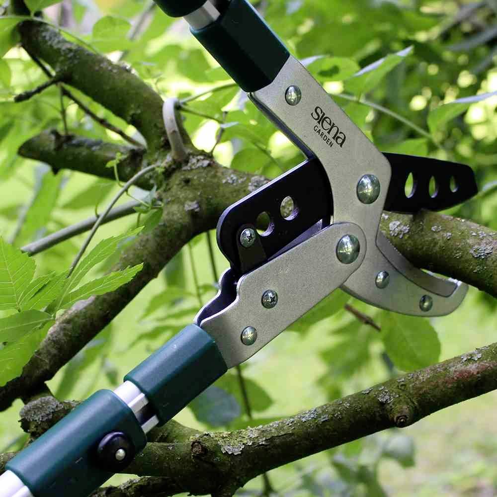 Siena Garden CL2101 Astschere Amboss