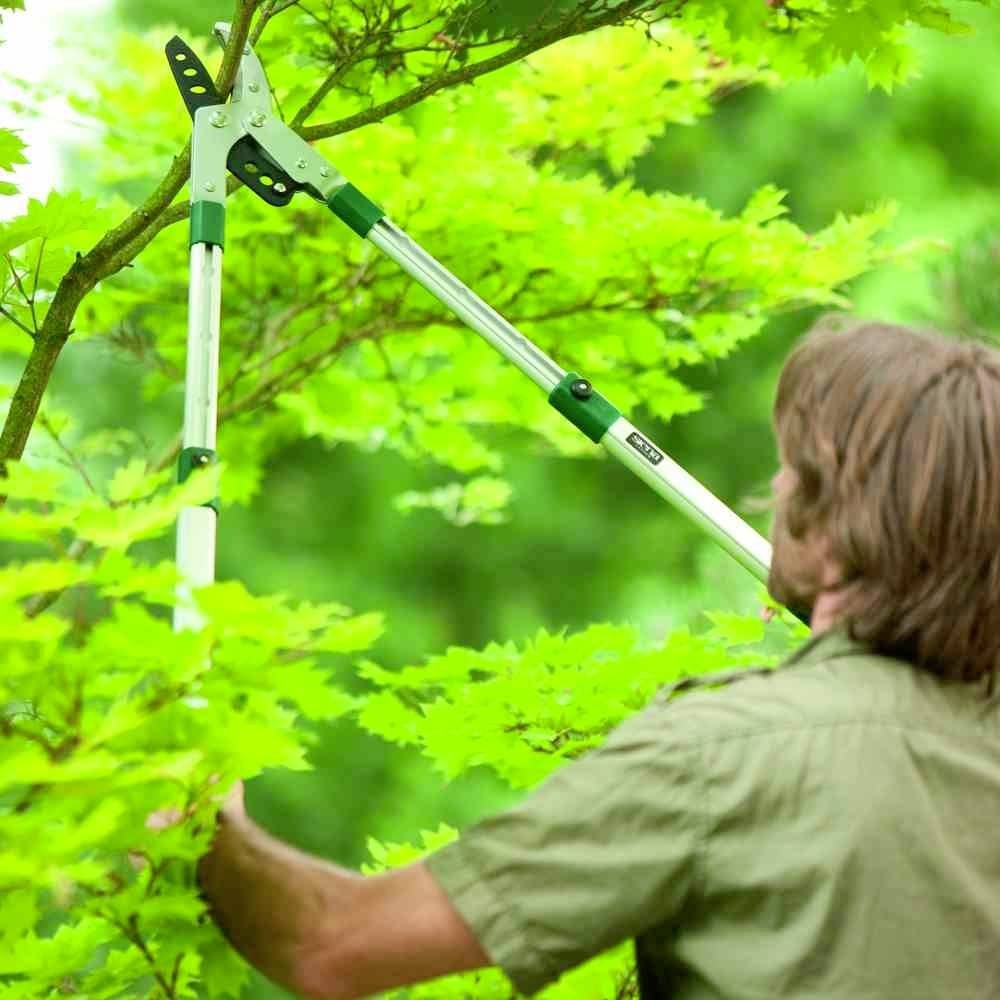 Siena Garden CL2101 Astschere Amboss