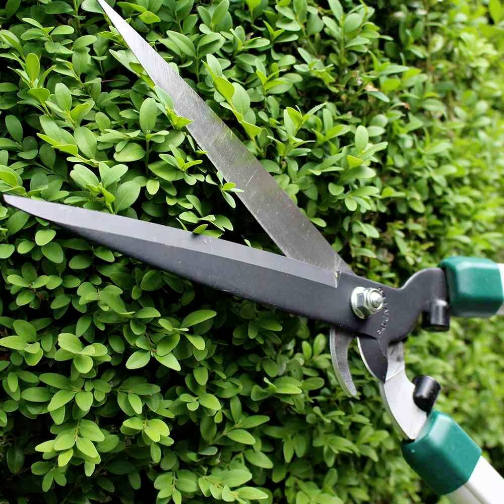 Siena Garden Heckenschere