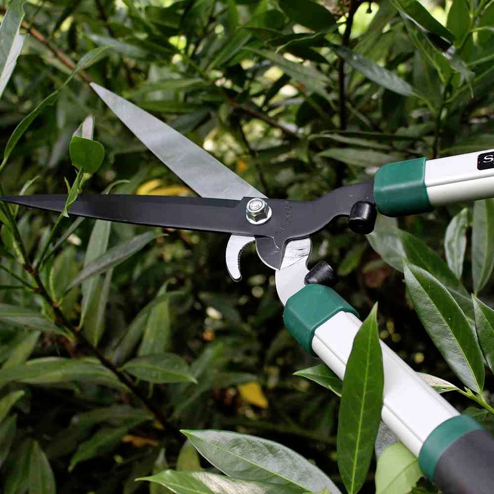 Siena Garden Heckenschere