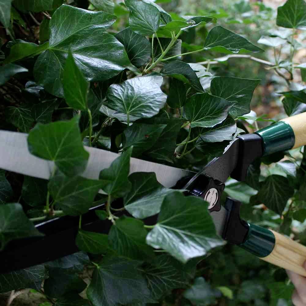 Siena Garden Heckenschere