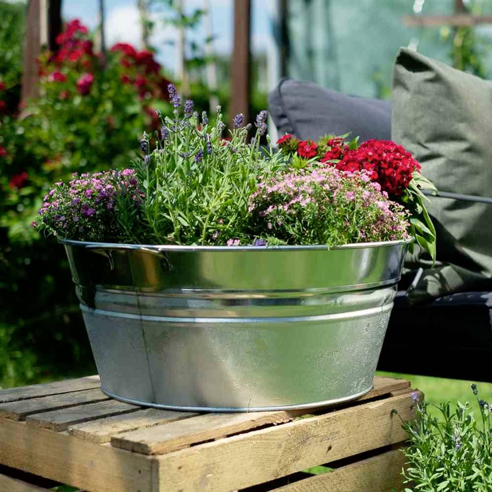 Silberner Eimer auf Holzkiste im Garten, gefüllt mit blühenden Lavendel- und anderen Pflanzen. Hintergrund: rote Rosen, Gartenstuhl.