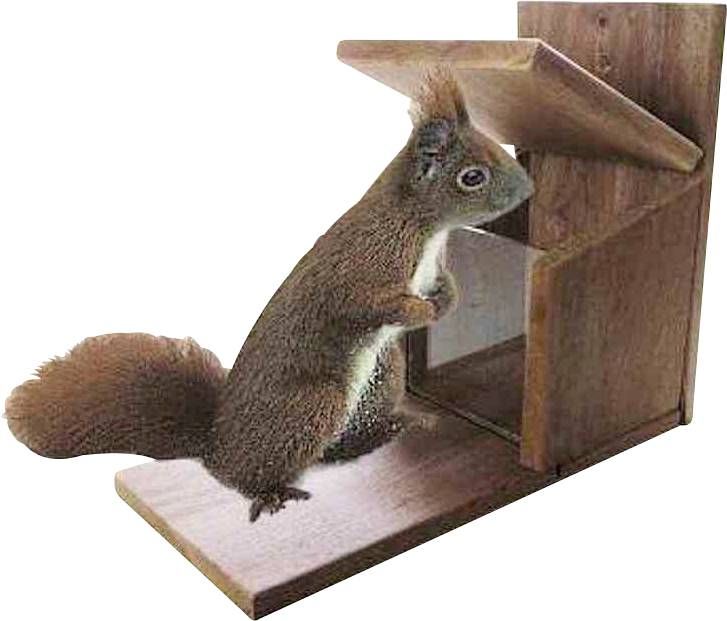 064 Eichhörnchenkasten 22x12x25 cm, Hartholz 1 St.
