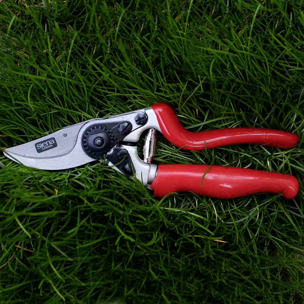 Siena Garden CG1070 Grasschere 21.5cm Bypass