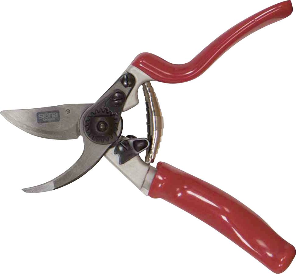 Siena Garden CG1070 Grasschere 21.5cm Bypass