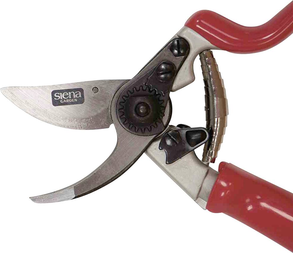 Siena Garden CG1070 Grasschere 21.5cm Bypass