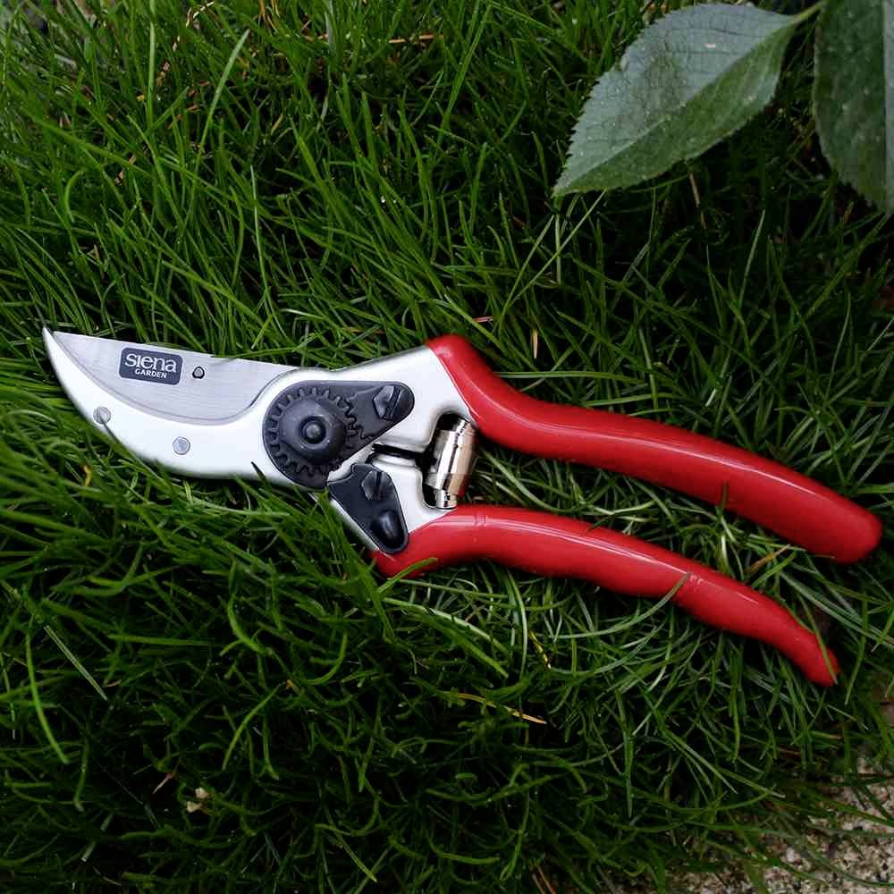 Siena Garden CG1020 Grasschere 21.5cm Bypass