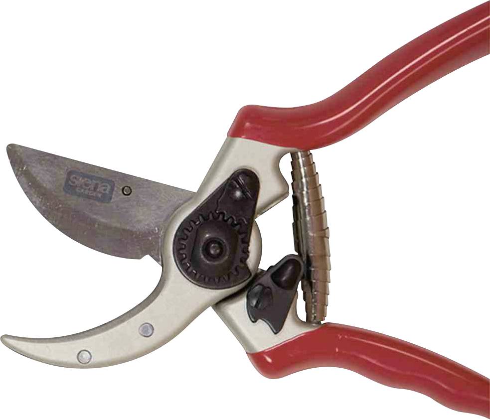 Siena Garden CG1020 Grasschere 21.5cm Bypass