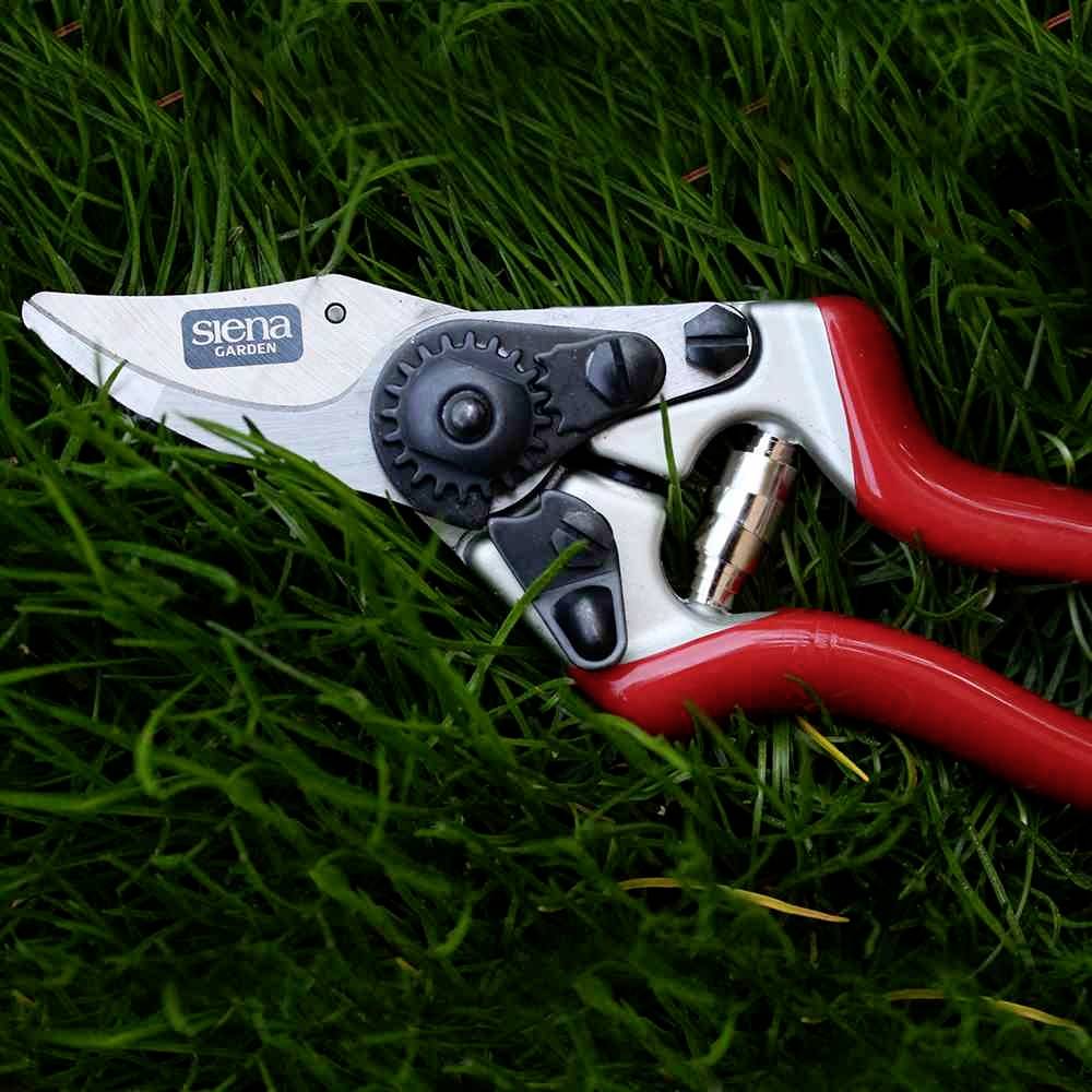 Siena Garden CG1060 Grasschere 20.5cm Bypass