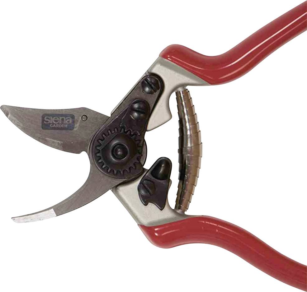 Siena Garden CG1060 Grasschere 20.5cm Bypass