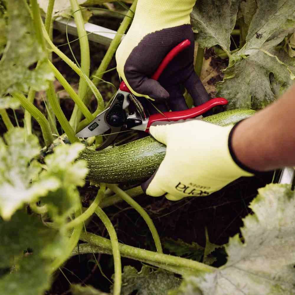 Siena Garden CG1080 Grasschere 21.5cm Bypass