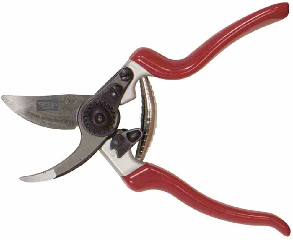 Siena Garden CG1080 Grasschere 21.5cm Bypass