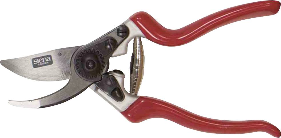 Siena Garden CG1080 Grasschere 21.5cm Bypass