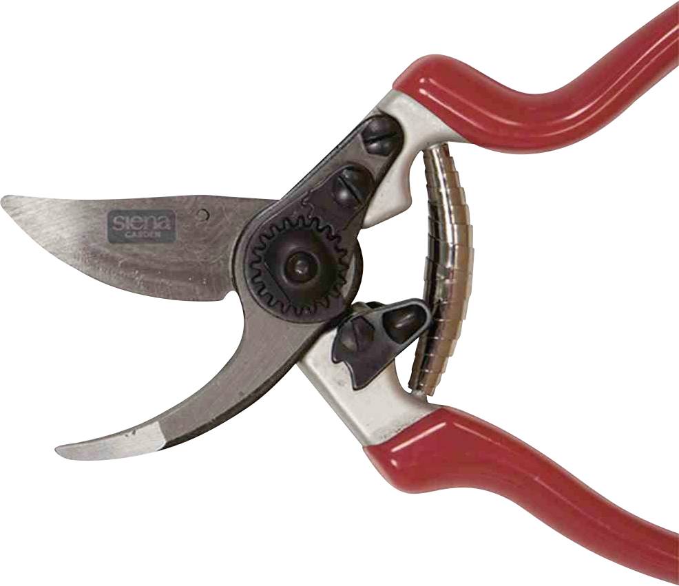 Siena Garden CG1080 Grasschere 21.5cm Bypass